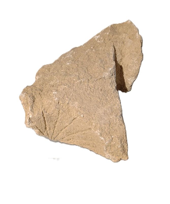 clocks, romà república, Vinya del Ticó / Can Torres