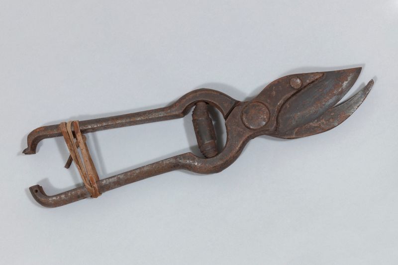 tisores de podar, segle XX