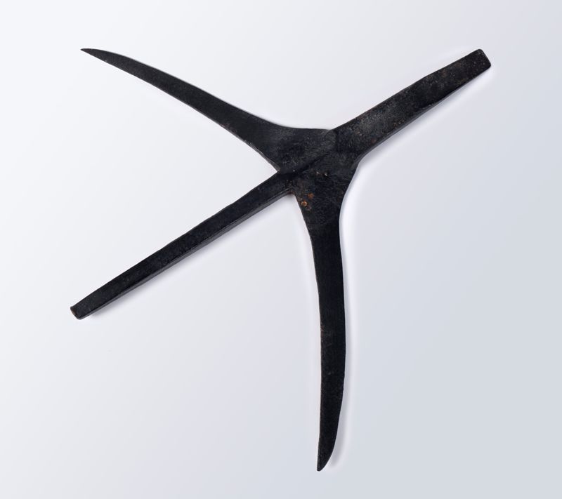 rella d'ales [rella], primer quart segle XX