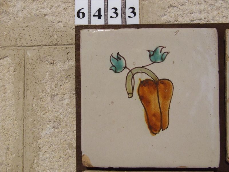 rajola, desconegut, segle XIX