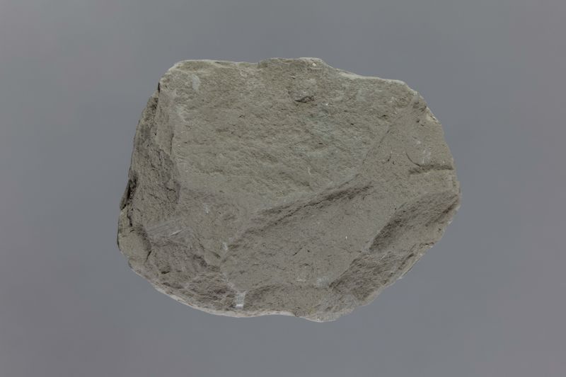 NC ANOMUR [esquelet]