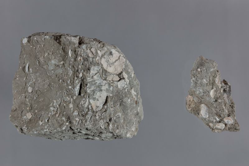 NC MOL.LUSC [motlle intern, motlle extern, conquilles]