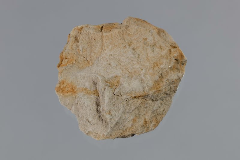 NC BRAQUIÜR [closca]