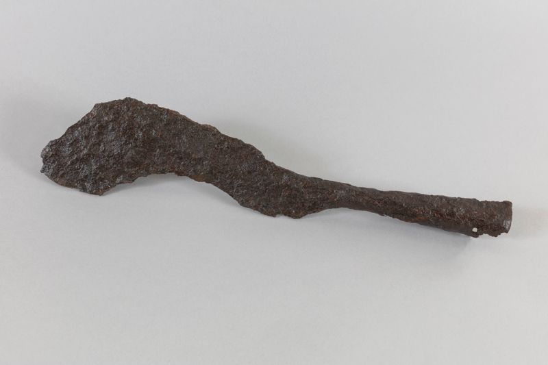 podall, ibèric, Alzinar Gran de la Massana