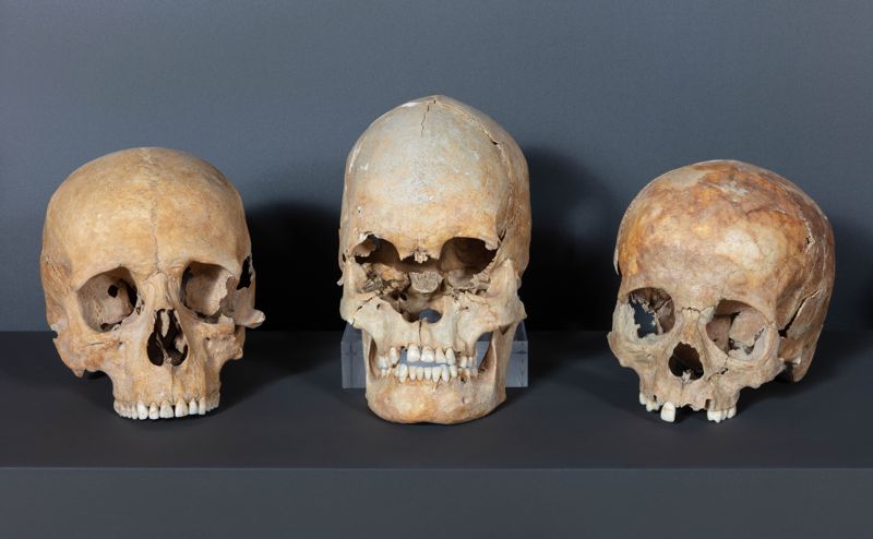 carni UF23 de Cal Pa i Figues [skulls, human remains], segle XIV, Cal Pa i Figues