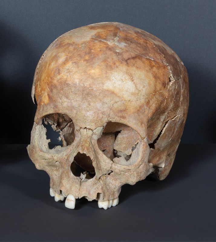 carni UF54 individu 27 de Cal Pa i Figues [crani, restes humanes], segle XIV, Cal Pa i Figues