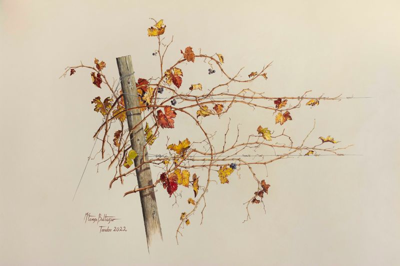 Fragment de vinya [pintura mural], Maria Teresa Baltasar, 2022