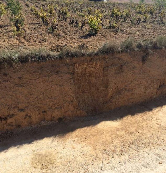 archaeological sites, ferro-ibèric ple, Camí Xic de la Masia
