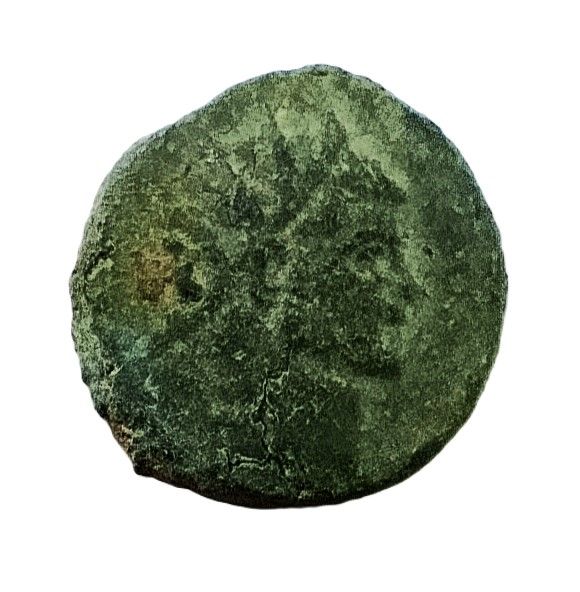 Antoninià [moneda, moneda falsa], Claudi II, segon quart segle III, Vil·la Romana de Ca l'Escuder