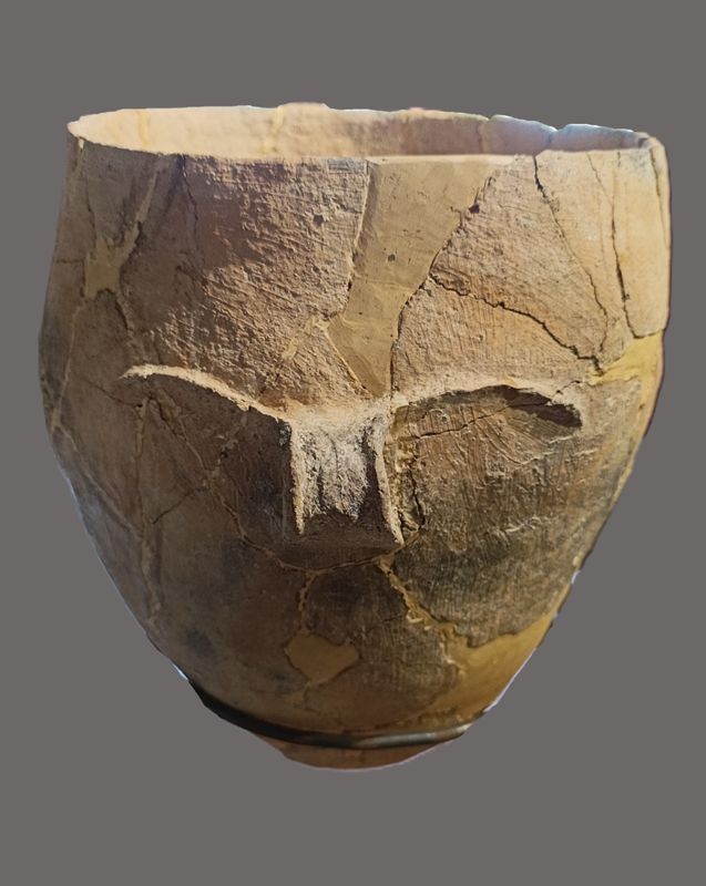 tenalla, neolític antic postcardial, Cova de la Guineu