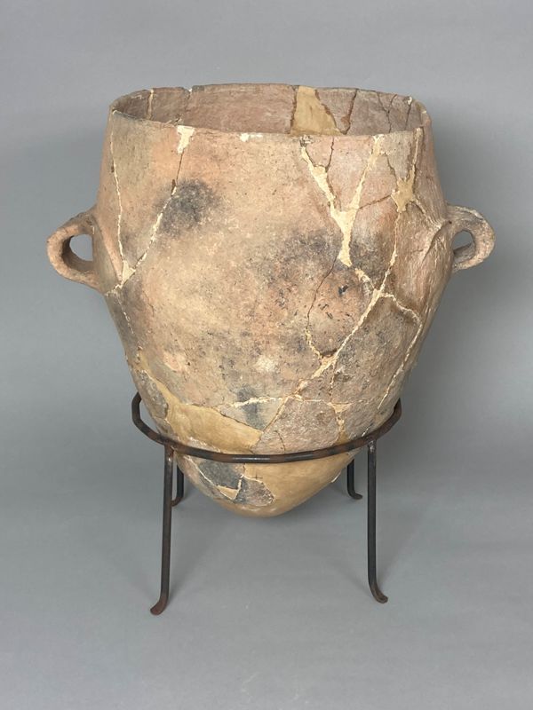 tenalla, neolític antic postcardial, Cova de la Guineu